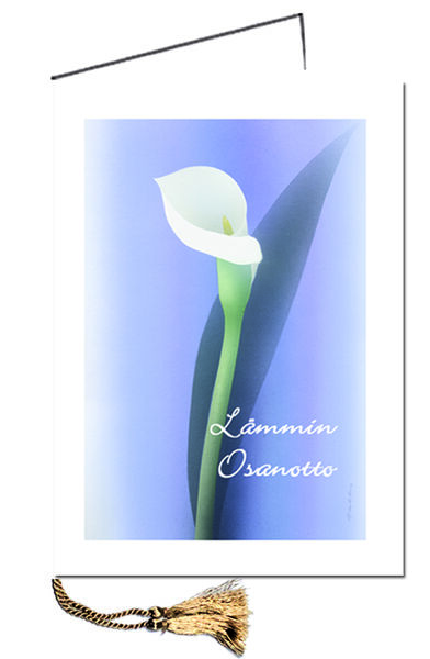 Suruadressi kansantautien tutkimuksen edistämiseksi 19