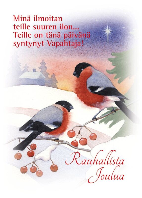 Hengelliset joulukortit-Siunattua Joulunaikaa-NRO 213 B