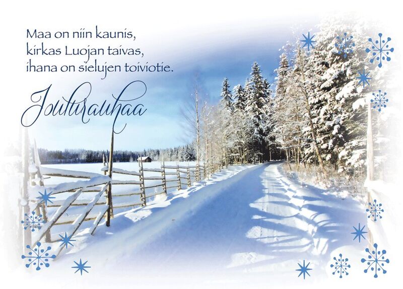 Hengelliset joulukortit-Siunattua Joulunaikaa-NRO 213 B